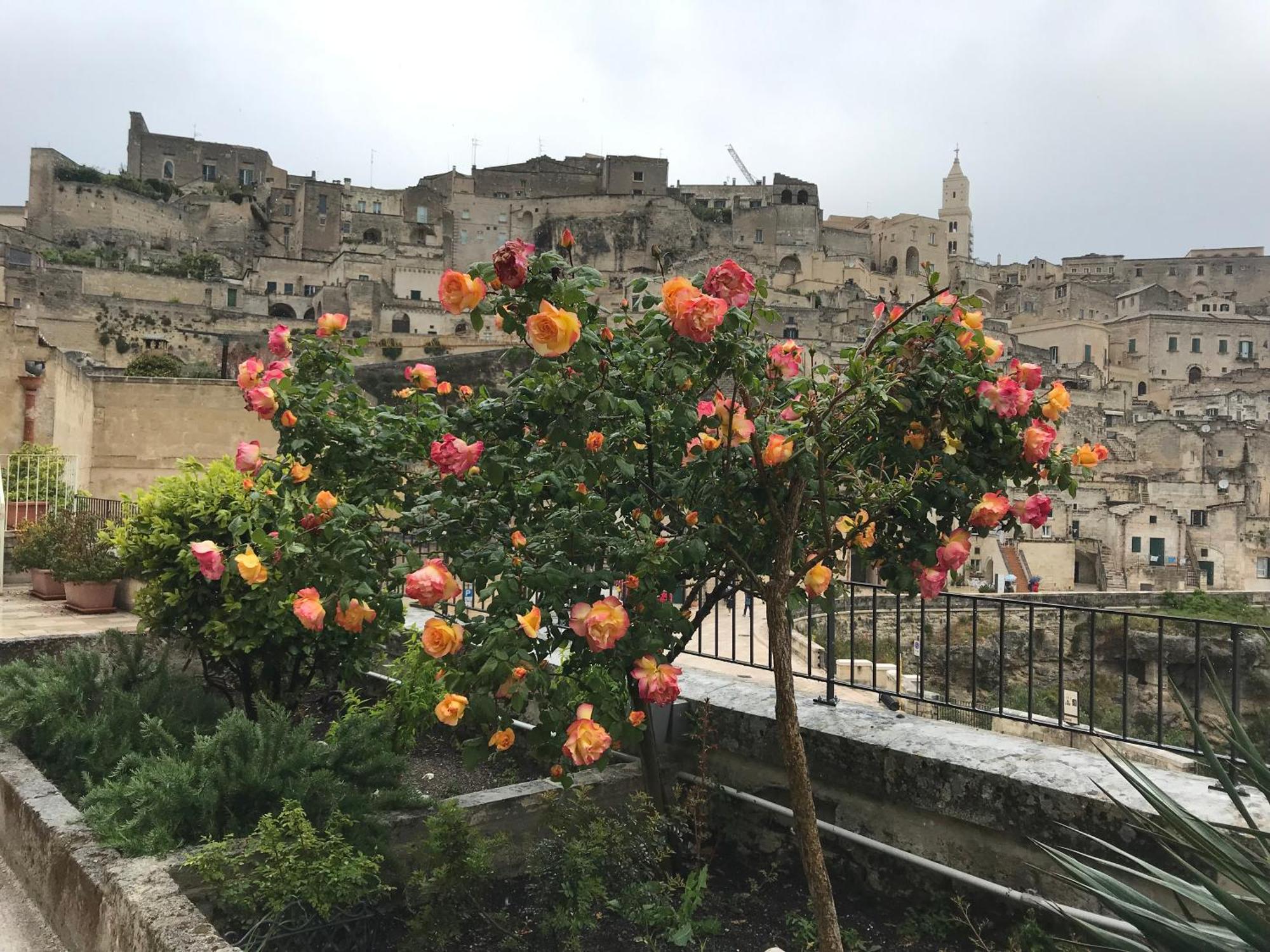 La Corte Dei Pastori Matera Eksteriør bilde